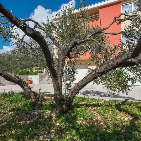 Apartment Buba/maslina Makarska